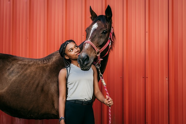 Are horses male or female?