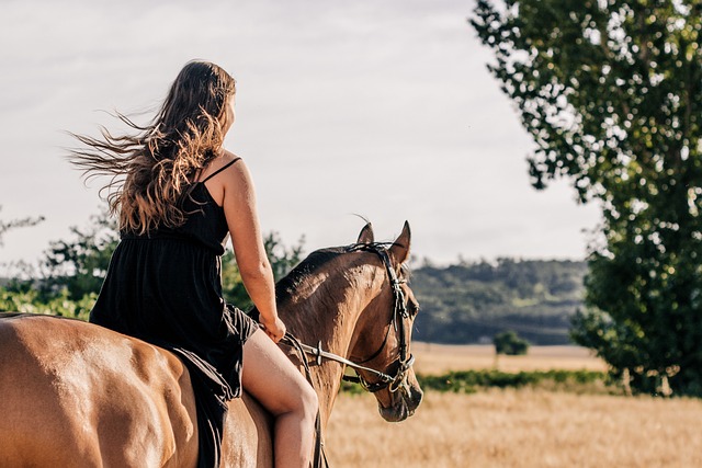 Are horses male or female?